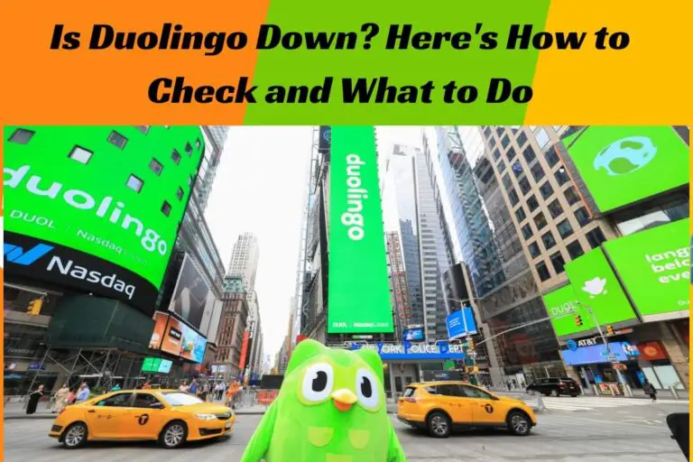 Is Duolingo Down? Here’s How to Check and What to Do