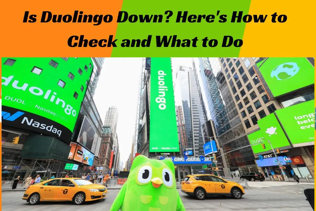 Is Duolingo Down