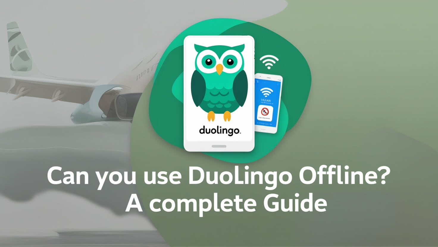 Can You Use Duolingo Offline